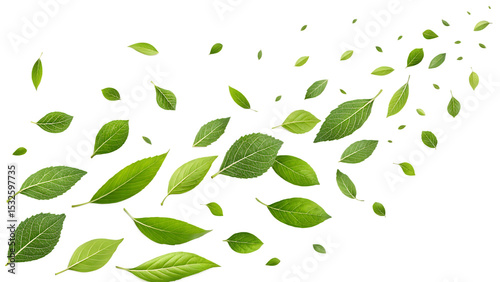 green leaves fly with a gust of wind on white background PNG. AI GENERATED
