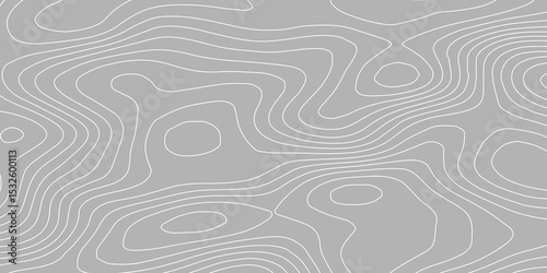 The concept of a conditional geography scheme and the terrain path. Topographic map. Geographic mountain relief. Abstract lines background. Contour maps. Vector illustration.