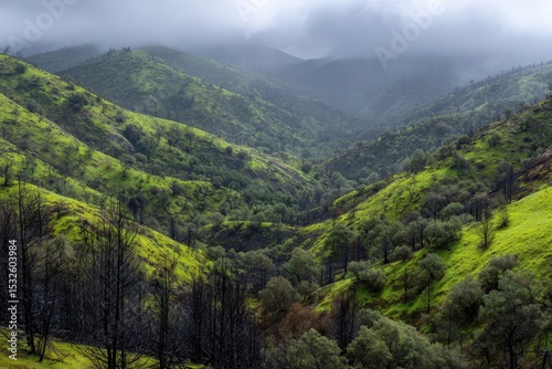 Lush green hills and burned trees in a mountain valley
