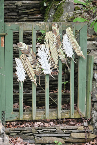 Feathers on the Fence