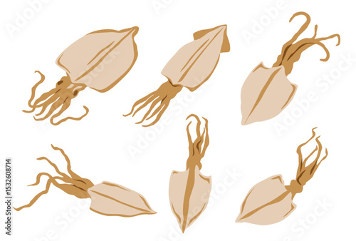Dried squid isolated on black background. Vector eps 10. perfect for wallpaper or design elements	