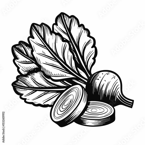 Delicious beetroot salad ingredients with fresh beetroots and leaves.  Simple beetroot salad recipe illustration shows whole beet and sliced pieces.