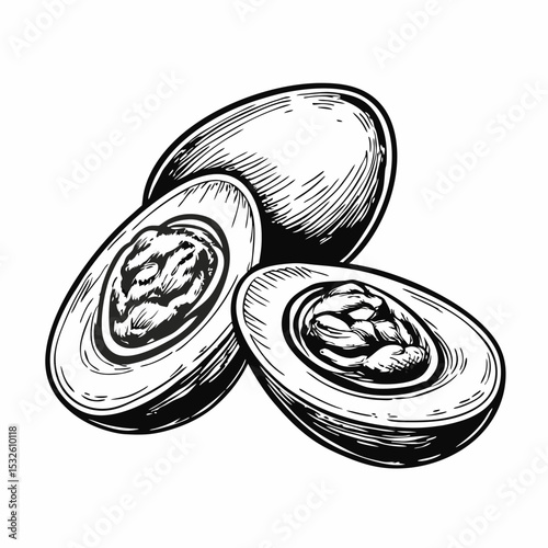 Delicious deviled eggs halves, recipe illustration.  Perfectly cooked eggs cut in half, showing creamy yolk filling.  Deviled eggs graphic for cookbook, restaurant menu, or food blog.