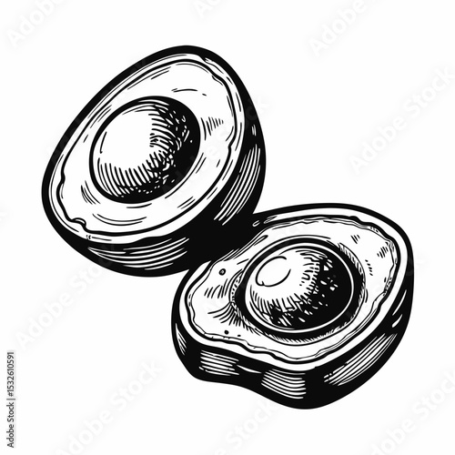 Delicious avocado halves illustration.  Two halves of ripe avocado fruit with pits, perfect for culinary blogs and recipe websites.  This detailed avocado illustration is ideal for creating menus,
