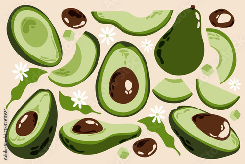 Avocado set. Green nature fruit with seed whole and sliced half, healthy organic food, cartoon ripe exotic tropical avocados. Vector vegetable collection