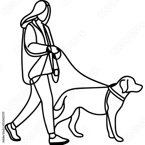 Woman walking labrador retriever dog on leash. Happy owner strolling with her pet.  Dog walking concept for pet blogs, veterinary clinics, or pet supply stores.