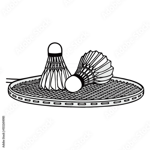 image of a shuttlecock silhouette on a white background