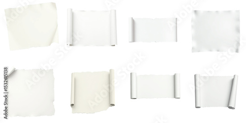 Wallpaper Mural Collection of torn and rolled white paper pieces on transparent background displaying various blank spaces for text or design elements in creativity and communication projects. Torontodigital.ca