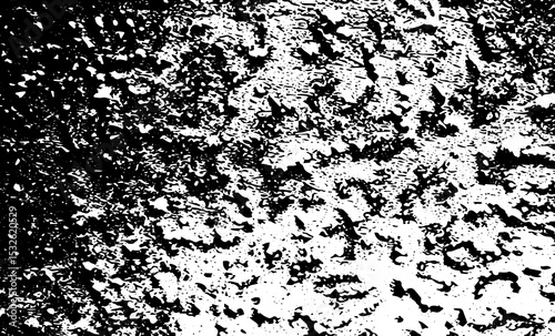 Grunge intertwined texture, threads, lines, wire, veins, monochrome. Grunge old detailed black white texture. Vector background
