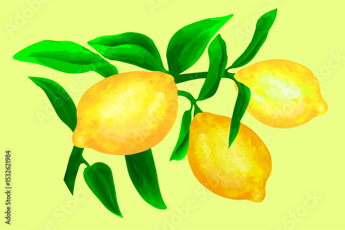 Colorful Lemon Tree Branch with Green Foliage. Vector illustration of three ripe yellow lemons on a leafy green branch against a light yellow background