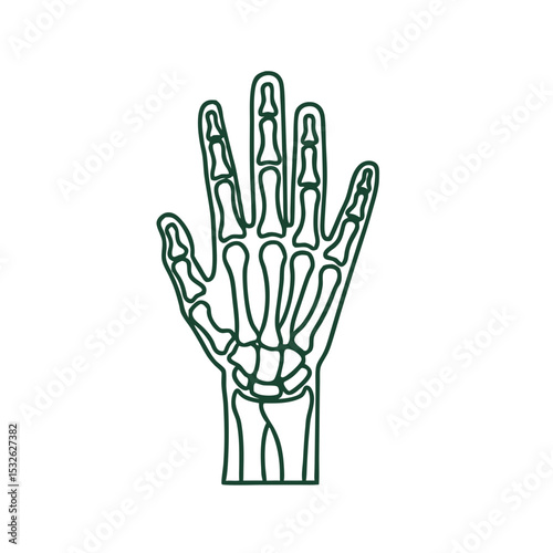 Skeleton hand illustration in green line art design  