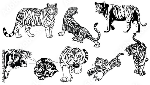 Dynamic Tiger Collection Pack: A dynamic compilation of hand-drawn tiger illustrations, each showcasing the majestic animal in various poses, reflecting strength, power, and elegance.