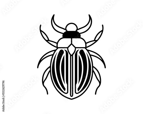 Striped beetle vector illustration