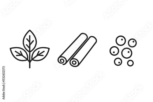 Herbal ingredients icon set: mint leaves, cinnamon sticks, peppercorns on gray background vector icon illustration