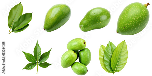 Wallpaper Mural Various green mangoes and mango leaves displayed on a transparent background arranged in a visually appealing composition showcasing natural texture and color. Torontodigital.ca
