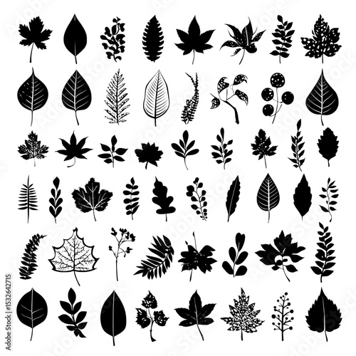 An assortment of autumn leaves in black silhouette, arranged on a white background, exemplifying a contemporary illustration approach with diverse leaf forms
