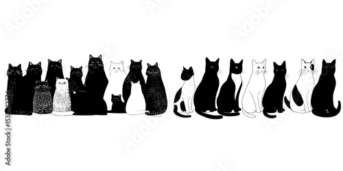 Black and white cats are arranged in a row, displaying various cat poses, all captured in silhouette form, with the cats' silhouettes on full display