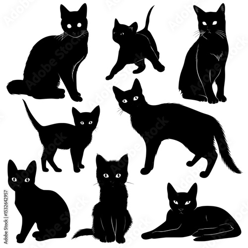 Black cat silhouettes are presented in various poses as part of a collection, with an additional set of kitten silhouettes on white