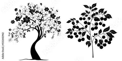 Modern illustration of a black cherry tree silhouette set against a solid white background