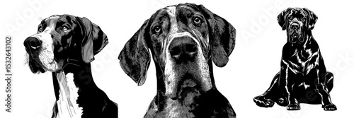 A great dane dog is depicted in black silhouette with a modern style against a white background