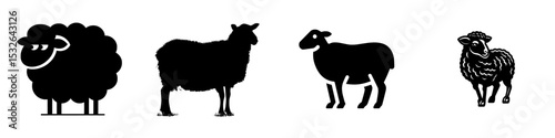 The modern design features a simple black sheep silhouette set against a white background
