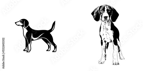 A modern beagle dog represented as a black silhouette set against a simple white background forms a contemporary icon