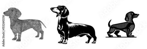 The modern silhouette of a dachshund dog is depicted in black against a simple white background with a contemporary design