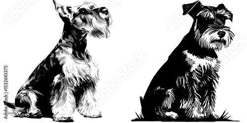 A modern icon featuring a black miniature schnauzer dog silhouette set against a white background with a simple design