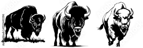A modern bison is depicted in black silhouette set against a white background, symbolizing a wild animal in contemporary times