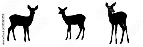 The modern silhouette of a roe deer is depicted in black with a simple design on a white background