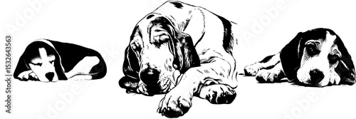 A modern beagle dog is depicted in a black silhouette with a simple design on a white background, showcasing the dog sleeping