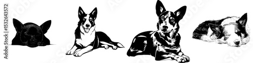 The modern Australian cattle dog is depicted in a black silhouette with a simple design on a white background, showcasing a sleeping dog in a contemporary icon style