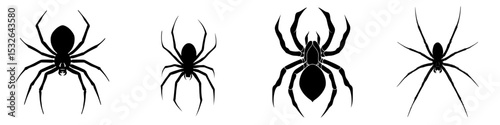 The modern spider silhouette is depicted in black against a simple white background with a modern icon design