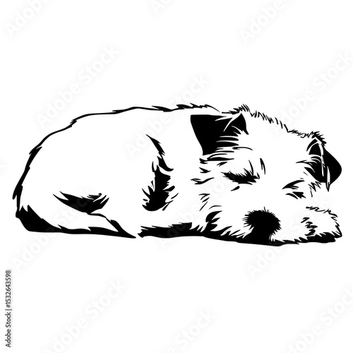 The modern design features a black silhouette of a Jack Russell Terrier dog, a sleeping dog, and a simple icon, all set against a white background