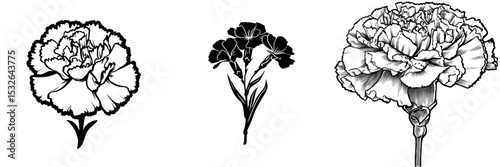 A modern icon featuring a carnation black silhouette is set against a simple white background in a contemporary design