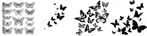 Black butterfly silhouettes in flight serve as a modern design element