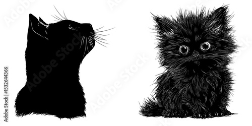 Modern collection with a solitary black cat silhouette