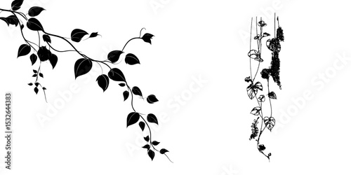 Tropical plant drawing featuring silhouette vines, a side view, and a set of outline graphics for trees, symbols often used in architecture and landscape design, presented in a modern stroke