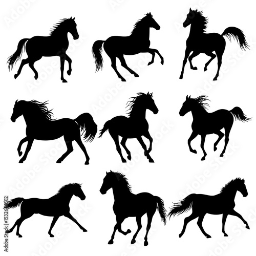 A collection of horse silhouettes, featuring horses in motion, isolated on a transparent background, in eps 10 format