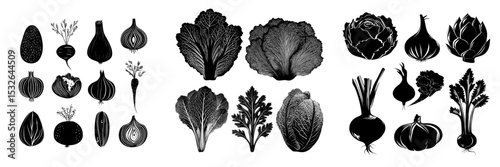 Modern illustration featuring a set of silhouette vegetables in black, presented as art