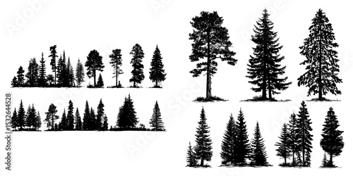 A nature trees panorama is depicted in a modern illustration, with a set of treeline forest trees shown in silhouette, isolated on a white background