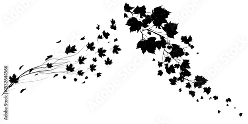 The modern illustration of a maple leaf is depicted in a simple style, with its silhouette falling against a white background, accompanied by isolated black elements, and is often associated with the
