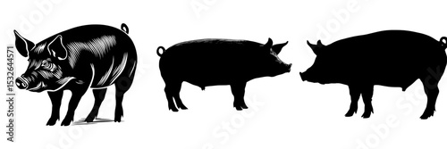 Profile view of a pig's silhouette in black, isolated from the background
