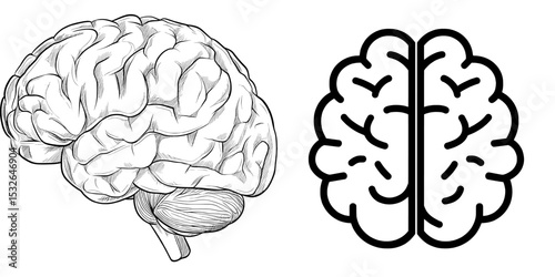 A flat, modern icon depicting the brain or mind from the side, suitable for medical applications and websites