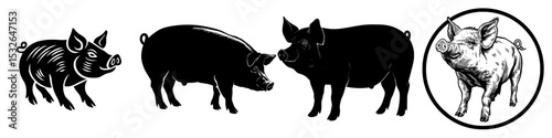 Modern illustration of a pig graphic icon with a black silhouette isolated on a white background