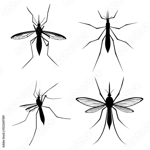 Creative symbol and icon design concept featuring a mosquito silhouette logo template and emblem in modern format