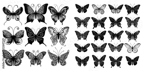 The illustrations feature black silhouettes of butterflies, highlighting their beautiful and amusing nature as insects