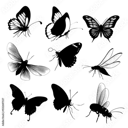 Hand drawn elements, including ink silhouettes of butterflies, glowworms, and fireflies, are presented as isolated icons on a white background in a modern illustration