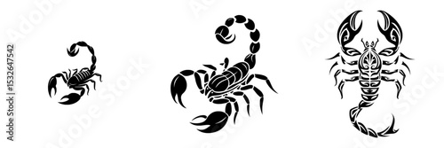 Modern silhouette image of a wild scorpion, isolated as an icon