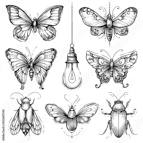 Butterflies, glowworms, and fireflies are depicted as ink silhouettes and icons, set against a white background in a modern, hand-drawn style